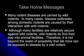 Take Home Messages
 Many

rodent diseases are carried by wild
rodents. In many cases, disease outbreaks
among domestic rodents are caused by their
interaction with wild rodents.
 Although many facilities are relatively secure
against wild rodents, wild rodents do find their
way into animal facilities. Therefore, it is not
beyond the realm of possibility that lab mice can
be exposed to disease by a wild rodent.

 