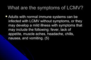 What are the symptoms of LCMV?
 Adults

with normal immune systems can be
infected with LCMV without symptoms, or they
may develop a mild illness with symptoms that
may include the following: fever, lack of
appetite, muscle aches, headache, chills,
nausea, and vomiting. (5)

 
