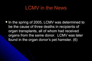 LCMV in the News
 In

the spring of 2005, LCMV was determined to
be the cause of three deaths in recipients of
organ transplants, all of whom had received
organs from the same donor. LCMV was later
found in the organ donor’s pet hamster. (6)

 