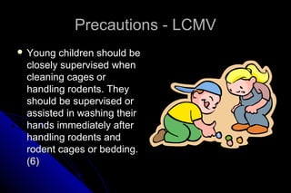 Precautions - LCMV
 Young

children should be
closely supervised when
cleaning cages or
handling rodents. They
should be supervised or
assisted in washing their
hands immediately after
handling rodents and
rodent cages or bedding.
(6)

 