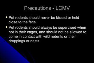 Precautions - LCMV
 Pet

rodents should never be kissed or held
close to the face.
 Pet rodents should always be supervised when
not in their cages, and should not be allowed to
come in contact with wild rodents or their
droppings or nests.

 