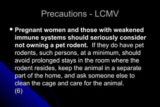 Precautions - LCMV
 Pregnant

women and those with weakened
immune systems should seriously consider
not owning a pet rodent. If they do have pet
rodents, such persons, at a minimum, should
avoid prolonged stays in the room where the
rodent resides, keep the animal in a separate
part of the home, and ask someone else to
clean the cage and care for the animal.
(6)

 