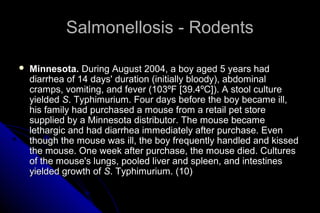 Salmonellosis - Rodents


Minnesota. During August 2004, a boy aged 5 years had
diarrhea of 14 days' duration (initially bloody), abdominal
cramps, vomiting, and fever (103ºF [39.4ºC]). A stool culture
yielded S. Typhimurium. Four days before the boy became ill,
his family had purchased a mouse from a retail pet store
supplied by a Minnesota distributor. The mouse became
lethargic and had diarrhea immediately after purchase. Even
though the mouse was ill, the boy frequently handled and kissed
the mouse. One week after purchase, the mouse died. Cultures
of the mouse's lungs, pooled liver and spleen, and intestines
yielded growth of S. Typhimurium. (10)

 