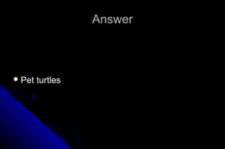 Answer

 Pet

turtles

 