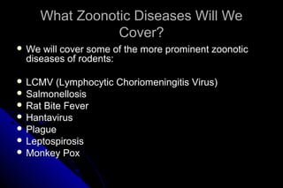 What Zoonotic Diseases Will We
Cover?
 We

will cover some of the more prominent zoonotic
diseases of rodents:

 LCMV

(Lymphocytic Choriomeningitis Virus)
 Salmonellosis
 Rat Bite Fever
 Hantavirus
 Plague
 Leptospirosis
 Monkey Pox

 