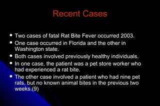 Recent Cases
 Two

cases of fatal Rat Bite Fever occurred 2003.
 One case occurred in Florida and the other in
Washington state.
 Both cases involved previously healthy individuals.
 In one case, the patient was a pet store worker who
had experienced a rat bite.
 The other case involved a patient who had nine pet
rats, but no known animal bites in the previous two
weeks.(9)

 