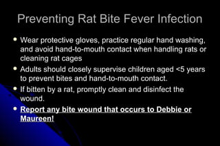 Preventing Rat Bite Fever Infection
 Wear

protective gloves, practice regular hand washing,
and avoid hand-to-mouth contact when handling rats or
cleaning rat cages
 Adults should closely supervise children aged <5 years
to prevent bites and hand-to-mouth contact.
 If bitten by a rat, promptly clean and disinfect the
wound.
 Report any bite wound that occurs to Debbie or
Maureen!

 