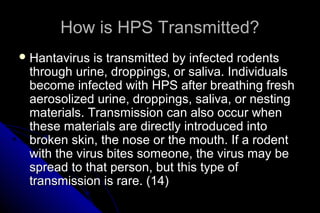 How is HPS Transmitted?
 Hantavirus

is transmitted by infected rodents
through urine, droppings, or saliva. Individuals
become infected with HPS after breathing fresh
aerosolized urine, droppings, saliva, or nesting
materials. Transmission can also occur when
these materials are directly introduced into
broken skin, the nose or the mouth. If a rodent
with the virus bites someone, the virus may be
spread to that person, but this type of
transmission is rare. (14)

 
