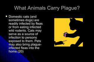 What Animals Carry Plague?
 Domestic

cats (and
sometimes dogs) are
readily infected by fleas
or from eating infected
wild rodents. Cats may
serve as a source of
infection to persons
exposed to them. Pets
may also bring plagueinfected fleas into the
home.(20)

 