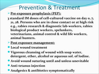 Prevention & Treatment
 Pre-exposure prophylaxis (PEP):
3 standard IM doses of cell-cultured vaccine on day 0, 7,
  21, 28. Persons who are in close contact or at high risk
  e.g., rabies research & diagnostic lab-workers, rabies
  biological product workers, spelunkers,
  veterinarians, animal control & wild life workers,
  animal hunters.
 Post exposure management:
Local wound treatment
Vigorous cleansing of wound with soap water,
  detergent, ether, alcohol or aqueous sol. of Iodine.
Avoid wound suturing until and unless unevitable
Anti-tetanus injection
Analgesics & antibiotics symptomatically
 