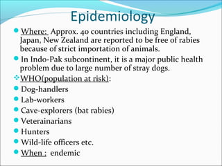 Epidemiology
Where: Approx. 40 countries including England,
 Japan, New Zealand are reported to be free of rabies
 because of strict importation of animals.
In Indo-Pak subcontinent, it is a major public health
 problem due to large number of stray dogs.
WHO(population at risk):
Dog-handlers
Lab-workers
Cave-explorers (bat rabies)
Veterainarians
Hunters
Wild-life officers etc.
When : endemic
 