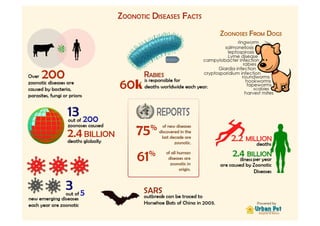 Zoonotic diseases facts | Urban dale Pet Hospital and Resort | Urbandale Pet Hospital and Resort  