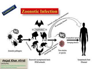 Zoonotic Infection
Amjad Khan Afridi
Lecturer,
Department of Health & Biological Sciences
Abasyn University Peshawar
 