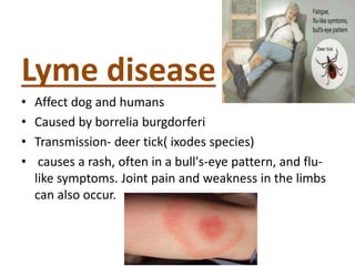 zoonotic infection.pptx for students education | PPTX