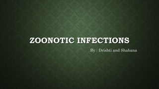 ZOONOTIC INFECTIONS
By : Drishti and Shabana
 