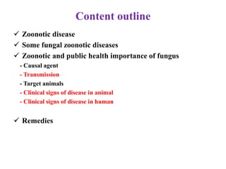 The zoonotic and public health importance of fungus 