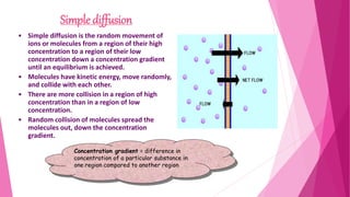 Simple diffusion
• Simple diffusion is the random movement of
ions or molecules from a region of their high
concentration to a region of their low
concentration down a concentration gradient
until an equilibrium is achieved.
• Molecules have kinetic energy, move randomly,
and collide with each other.
• There are more collision in a region of high
concentration than in a region of low
concentration.
• Random collision of molecules spread the
molecules out, down the concentration
gradient.
Concentration gradient = difference in
concentration of a particular substance in
one region compared to another region
 