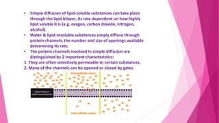 • Simple diffusion of lipid-soluble substances can take place
through the lipid bilayer, its rate dependent on how highly
lipid soluble it is (e.g. oxygen, carbon dioxide, nitrogen,
alcohol).
• Water & lipid-insoluble substances simply diffuse through
protein channels, the number and size of openings available
determining its rate.
• The protein channels involved in simple diffusion are
distinguished by 2 important characteristics:
1. They are often selectively permeable to certain substances.
2. Many of the channels can be opened or closed by gates.
 
