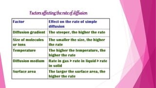 Factors affecting the rateof diffusion
 
