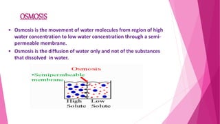 • Osmosis is the movement of water molecules from region of high
water concentration to low water concentration through a semi-
permeable membrane.
• Osmosis is the diffusion of water only and not of the substances
that dissolved in water.
OSMOSIS
 