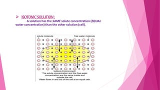  ISOTONICSOLUTION:
A solution has the SAME solute concentration (EQUAL
water concentration) than the other solution (cell).
 