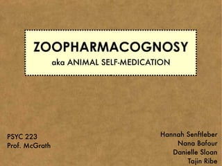 ZOOPHARMACOGNOSY
                aka ANIMAL SELF-MEDICATION




PSYC 223                               Hannah Senftleber
Prof. McGrath                              Nana Bafour
                                          Danielle Sloan
                                              Tajin Ribe
 