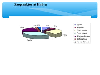 8% 5%
27%
34%
21%
2% 3% Mysid
Sagitta
Crab larvae
Fish larvae
Shrimp larvae
Coleoptera
Insect larvae
Zooplankton at Hatiya
 