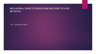 HEXAPODA, INSECTS BEHAVIOR OR INSECTS AND
HUMANS.
BY “KAWANL NISA””
 