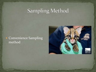  Convenience Sampling
 method
 