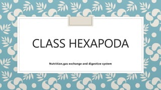 CLASS HEXAPODA
Nutrition,gas exchange and digestive system
 