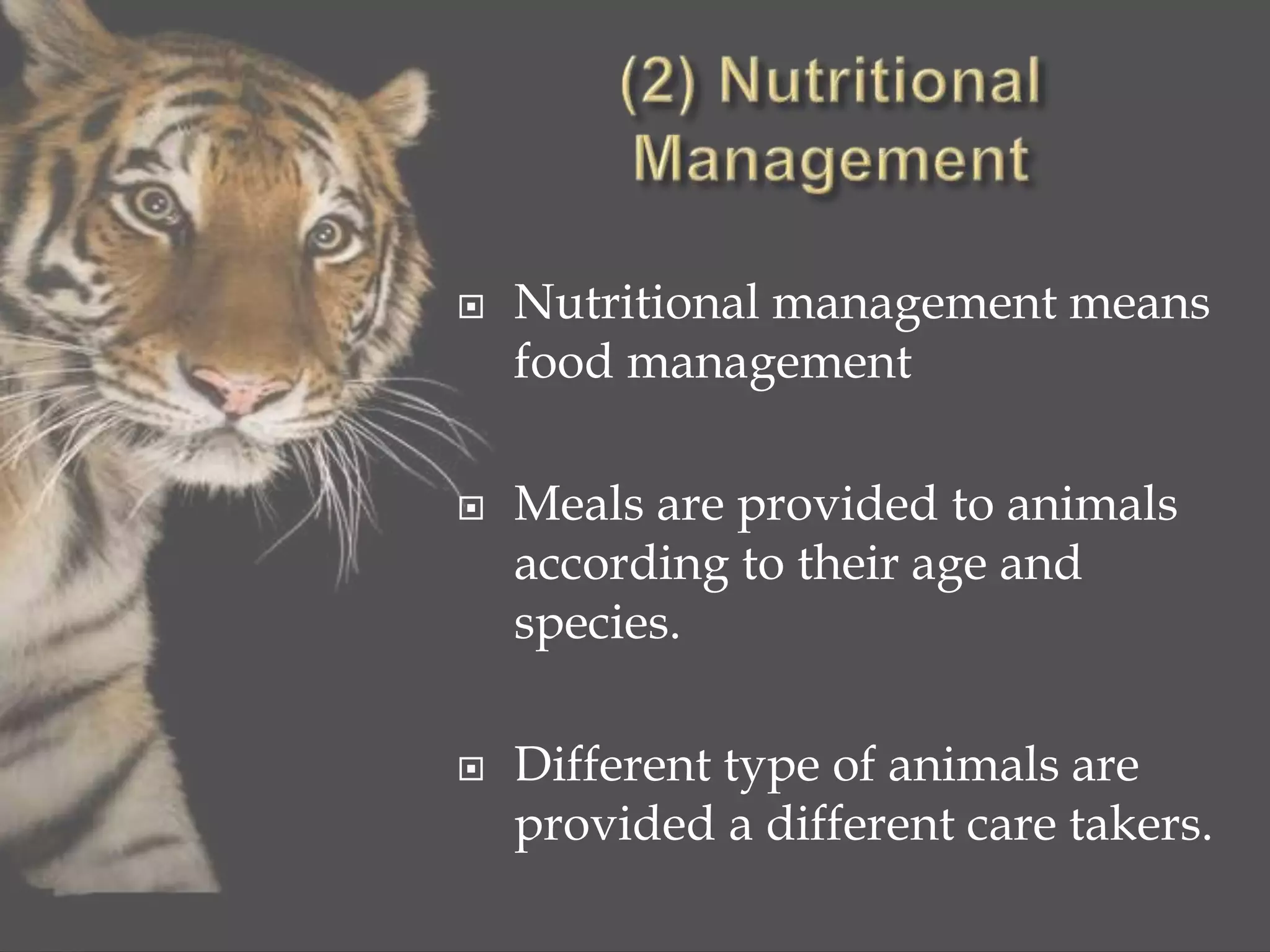  Nutritional management means
food management
 Meals are provided to animals
according to their age and
species.
 Different type of animals are
provided a different care takers.
 