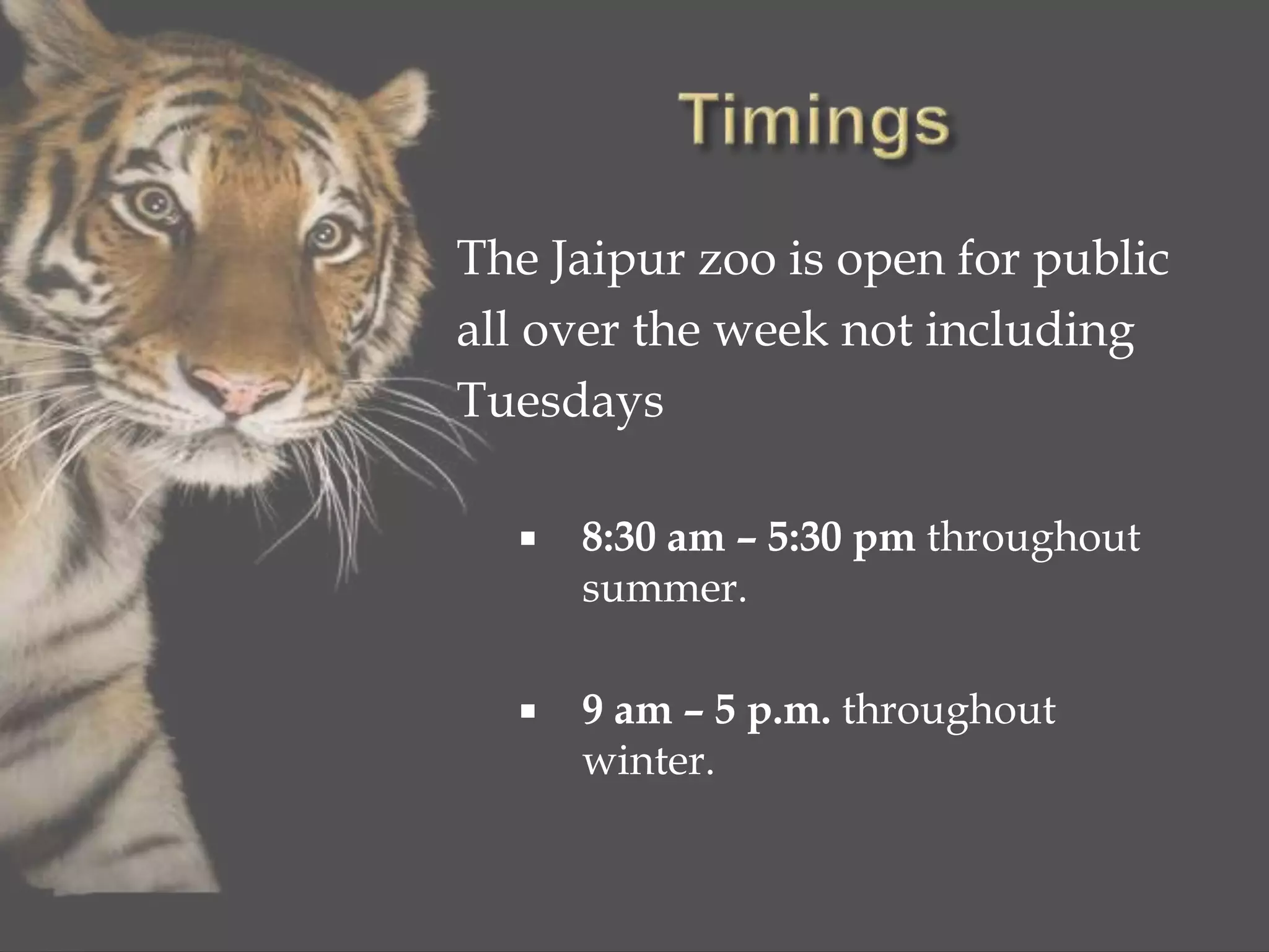 The Jaipur zoo is open for public
all over the week not including
Tuesdays
 8:30 am – 5:30 pm throughout
summer.
 9 am – 5 p.m. throughout
winter.
 
