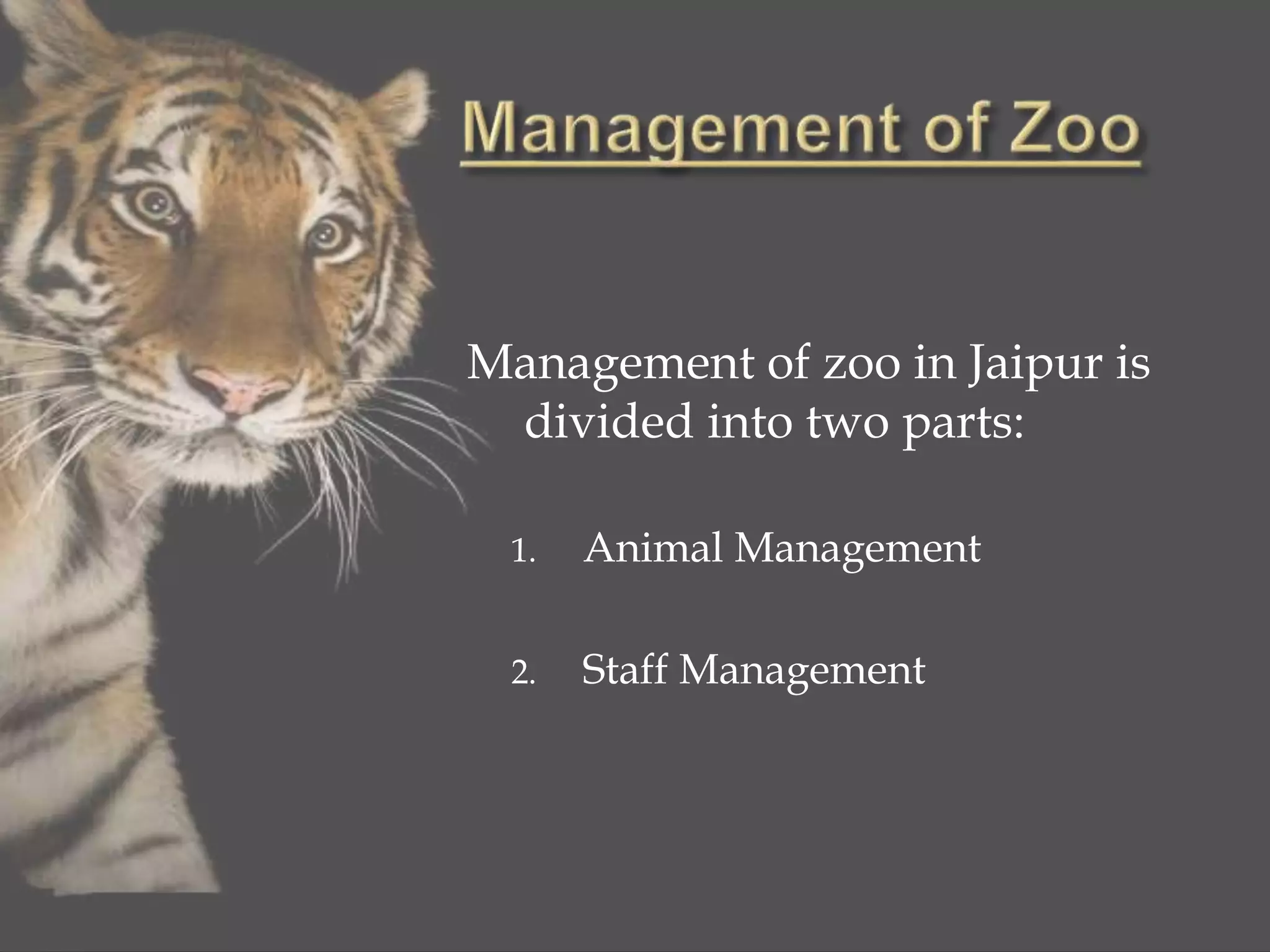 Management of zoo in Jaipur is
divided into two parts:
1. Animal Management
2. Staff Management
 