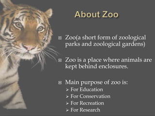 Zoo presentation....