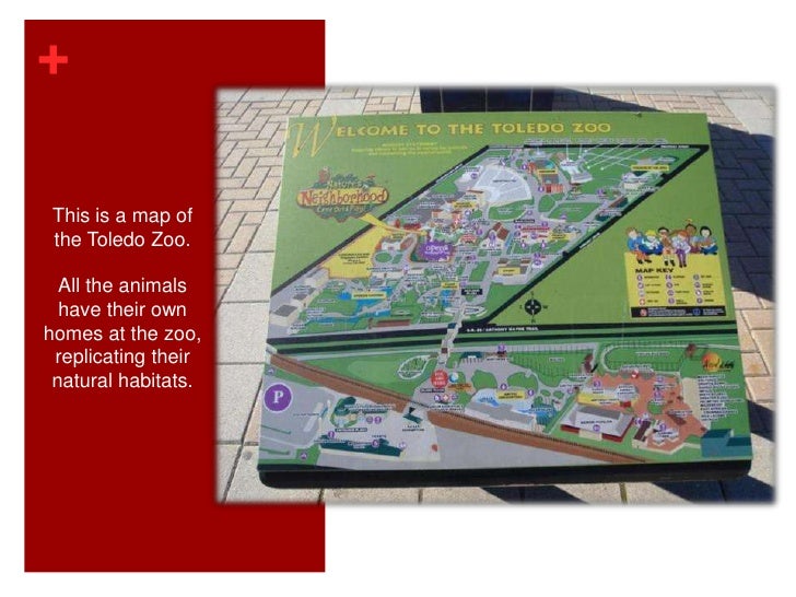 Toledo Zoo Virtual Tour