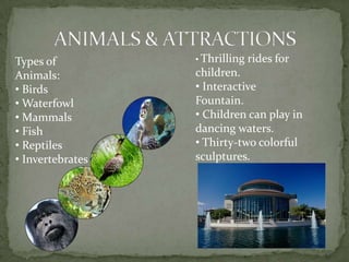 HISTORYPalm Beach started in the 1950’s.