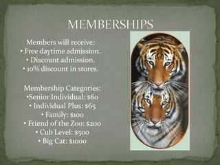 Palm Beach was established as a resort by Henry Morrison Flagler.