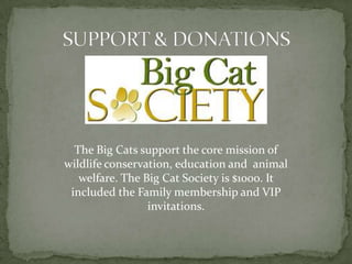 The Palm Beach Zoo used to be named “Dreher Park”ANIMALS & ATTRACTIONSThrilling rides for children.