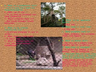 6.   A. What is a prehensile tail? - It’s a long tail used for hanging/grasping. B. What can it do? - It is used so primates can hang themselves. C. Which primates have it? - New world monkeys (South American) 7.   A. What is an ischial callosities for? - It allows primates to sit on rocks. B. What does it look like? - A small bump. C. Which primates have it? - All new world monkeys, chimpanzees 8.   A. What is an  opposable hallux? - A big toe. B. What does it look like? - A big toe. C. What primates have it? - Apes, monkeys, all primates other than humans 9.   A. What is sexual skin? - The skin on a female that reveals she is in estrus. B. What does it indicate? - It means the female is in estrus, she is ovulating. C. Describe what it looks like and if you are able to observe mating or presenting behavior. - The sexual skin is on the genitals. It is swollen in texture, has a strong scent and is vibrant in color. 