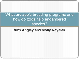 Zoo project 7c | PPTX