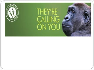 Zoo project 7c | PPTX