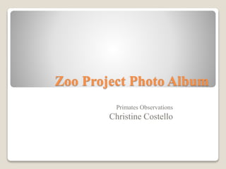 Zoo Project Photo Album
Primates Observations
Christine Costello
 