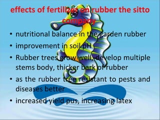 ZOOREA F3 FOR RUBBER