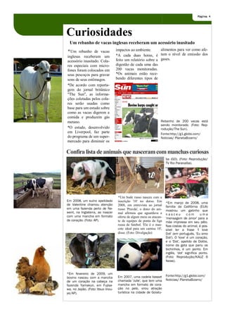 Página 4




Curiosidades
  Um rebanho de vacas inglesas receberam um acessório inusitado
*Um rebanho de vacas               impactos ao ambiente.      alimentos para ver como afe-
inglesas receberam um              *A cada duas horas, é tam o nível de emissão dos
acessório inusitado. Cola-         feito um relatório sobre a gases.
res especiais com micro-           digestão de cada uma das
fones foram colocados em           200 vacas monitoradas.
seus pescoços para gravar          *Os animais estão rece-
sons de seus estômagos.            bendo diferentes tipos de
*De acordo com reporta-
gem do jornal britânico
"The Sun", as informa-
ções coletadas pelos cola-
res serão usadas como
base para um estudo sobre
como as vacas digerem a
comida e produzem gás
metano.                                                           Rebanho de 200 vacas está
                                                                  sendo monitorado. (Foto: Rep-
*O estudo, desenvolvido                                           rodução/The Sun).
em Liverpool, faz parte                                           Fonte:http://g1.globo.com/
do programa de um super-                                          Noticias/ PlanetaBizarro/
mercado para diminuir os

Confira lista de animais que nasceram com manchas curiosas
                                                                      ba (GO). (Foto: Reprodução/
                                                                      TV Rio Paranaíba).




                                    *Um bode russo nasceu com a
Em 2008, um suíno apelidado         inscrição '10' no dorso. Em       *Em março de 2008, uma
de Valentine chamou atenção         2008, em entrevista ao jornal     família da Califórnia (EUA)
em uma fazenda perto de Ne-         russo 'Pravda', o dono do ani-    mostrou um gatinho que
went, na Inglaterra, ao nascer      mal afirmou que aguardava a       nasceu          com      uma
com uma mancha em formato           oferta de algum meia ou atacan-   'mensagem de amor' para a
de coração. (Foto: AP).             te de equipes de ponta da liga    mãe impressa em seu pêlo.
                                    russa de futebol. 'Ele é o mas-   Nas costas do animal, é pos-
                                    cote ideal para um camisa 10',    sível ler a frase 'I love
                                    disse. (Foto: Divulgação)         Dot' (em português, 'Eu amo
                                                                      Dot'). O 'love' é um coração,
                                                                      e o 'Dot', apelido de Dottie,
                                                                      nome da gata que pariu os
                                                                      bichinhos, é um ponto. Em
                                                                      inglês, 'dot' significa ponto.
                                                                      (Foto: Reprodução/KAUZ 6
                                                                      News).


*Em fevereiro de 2009, um
                                    Em 2007, uma cadela basset        Fonte:http://g1.globo.com/
bovino nasceu com a mancha
                                    chamada 'Julie', que tem uma      Noticias/ PlanetaBizarro/
de um coração na cabeça na
fazenda Yamakun, em Fujisa-         mancha em formato de cora-
wa, no Japão. (Foto: Itsuo Inou-    ção no pelo, virou atração
ye/AP).                             turística na cidade de Goiatu-
 