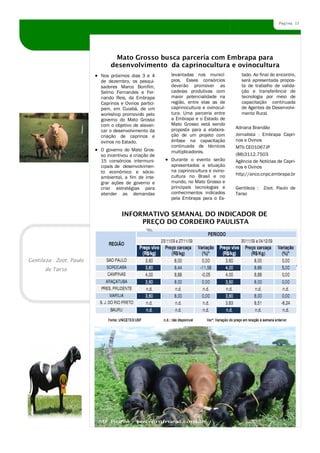 Página 15




                                 Mato Grosso busca parceria com Embrapa para
                               desenvolvimento da caprinocultura e ovinocultura
                           Nos próximos dias 3 e 4      levantadas nos municí-         tado. Ao final do encontro,
                           de dezembro, os pesqui-      pios. Esses consórcios         será apresentada propos-
                           sadores Marco Bomfim,        deverão promover as            ta de trabalho de valida-
                           Selmo Fernandes e Fer-       cadeias produtivas com         ção e transferência de
                           nando Reis, da Embrapa       maior potencialidade na        tecnologia por meio de
                           Caprinos e Ovinos partici-   região, entre elas as de       capacitação continuada
                           pam, em Cuiabá, de um        caprinocultura e ovinocul-     de Agentes de Desenvolvi-
                           workshop promovido pelo      tura. Uma parceria entre       mento Rural.
                           governo do Mato Grosso       a Embrapa e o Estado de
                           com o objetivo de alavan-    Mato Grosso está sendo
                                                        proposta para a elabora-     Adriana Brandão
                           car o desenvolvimento da
                           criação de caprinos e        ção de um projeto com        Jornalista - Embrapa Capri-
                           ovinos no Estado.            ênfase na capacitação        nos e Ovinos
                                                        continuada de técnicos       MTb CE01067JP
                           O governo do Mato Gros-      multiplicadores.
                           so incentivou a criação de                                (88)3112.7503
                           15 consórcios intermuni-     Durante o evento serão       Agência de Notícias de Capri-
                           cipais de desenvolvimen-     apresentados a situação      nos e Ovinos
                           to econômico e sócio-        na caprinocultura e ovino-
                                                        cultura no Brasil e no       http://anco.cnpc.embrapa.br
                           ambiental, a fim de inte-
                           grar ações de governo e      mundo, no Mato Grosso e
                           criar estratégias para       principais tecnologias e     Gentileza :   Zoot. Paulo de
                           atender as demandas          conhecimentos indicados      Tarso
                                                        pela Embrapa para o Es-


                                     INFORMATIVO SEMANAL DO INDICADOR DE
                                          PREÇO DO CORDEIRO PAULISTA




Gentileza : Zoot. Paulo
       de Tarso




                          Título do artigo interno
 