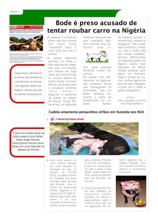 Página 9




                                 Bode é preso acusado de
                              tentar roubar carro na Nigéria
                              É pessoal o mundo do       relataram aos policiais       da história surreal, o
                              crime não tem limites      que, enquanto esta-           animal ficou detido na
                              até     pod e    and a     vam fazendo uma pa-           delegacia. "Não pode-
                              “roubando” carro. É        trulh a,   eles     vi-       mos confirmar a histó-
                              cada uma que me a-                                       ria, mas o bode está
                              parece.                                                  sob nossa custódia",
                              A polícia nigeriana                                      afirmou Mohammed.
                              prendeu um bode a-                                       Em algumas partes da
                              pós seguranças alega-                                    Nigéria, nação mais
                              rem que um bandido         ram duas pessoas              populosa da África,
                              que estava em fuga         tentando roubar um            muitas pessoas acre-
    Seguranças afirmaram                                 veículo.                      ditam em feitiçaria.
                              havia se transformado
   à polícia que bandido se   no animal depois de        De acordo com Mo-             Após a prisão do ani-
   transformou no animal.     tentar roubar um carro     hammed, os seguran-           mal, muitos nigerianos
                              Mazda, de acordo com       ças contaram ainda            têm ido até a delegaci-
    Em algumas partes da
                              a emissora britânica       que "perseguiram os           a para ver o bode e
   Nigéria, muitas pessoas                               criminosos, mas um            poder fotografá-lo.
                              "Sky        News".
   acreditam em feitiçaria.   Segundo o porta-voz        deles escapou en-
                              da polícia no estado       quanto o outro se                      Fonte:
                              de Kwara, Tunde Mo-        transformou em um             http://g1.globo.com/Not
                              hammed, os vigilantes      bode".        Apesar            icias/PlanetaBizarro


                              Cadela amamenta porquinhos órfãos em fazenda nos EUA




 'É bom ver coisas boas na
  vida e essa é uma delas',
     disse Angel Roman.
 Cena pouco comum acon-
 teceu em uma fazenda no
      estado da Flórida


                               Uma cena pouco co-         seus próprios filhotes.       tanto, segundo ele, a
                               mum chama atenção          "É incrível, é fantástico.    cadela "Tequilla" mos-
                               em uma fazenda no          É bom ver coisas boas         trou instinto maternal e
                               Condado de Lee, no         na vida e essa é uma          passou a amamentar
                               estado da Flórida          delas", disse Angel Ro-       os suínos.
                               (EUA). A cadela chama-     man, amigo do proprie-
                               da "Tequilla" tem ama-     tário da fazenda, Jim
                               mentado, além de seus      Favreau.
                               oito filhotes, uma ni-
                               nhada de porquinhos        O dono da fazenda con-
                               órfãos, segundo a e-       tou que resgatou os
                               missora de TV "NBC 2".     porquinhos recém-
                               Mistura das raças rott-    nascidos na última a
                               weiler e pit bull,         segunda-feira, após a
                               "Tequilla" amamenta os     morte de sua mãe, em
                               leitões como se fossem     um aguaceiro. No en-
 
