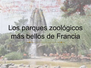 Los parques zoológicos
más bellos de Francia

 