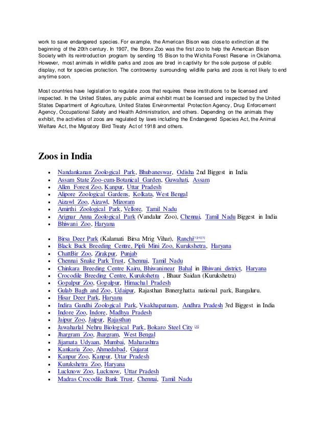 all about rare animals unique animals and more
