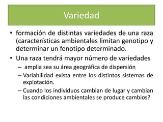 Variedadformación de distintas variedades de una raza (características ambientales limitan genotipo y determinar un fenotipo determinado.Una raza tendrá mayor número de variedades amplia sea su área geográfica de dispersiónVariabilidad exista entre los distintos sistemas de explotación.Cuando los individuos cambian de lugar y cambian las condiciones ambientales se produce cambios?