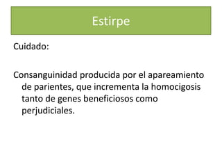 EstirpeCuidado: Consanguinidad producida por el apareamiento de parientes, que incrementa la homocigosis tanto de genes beneficiosos como perjudiciales.